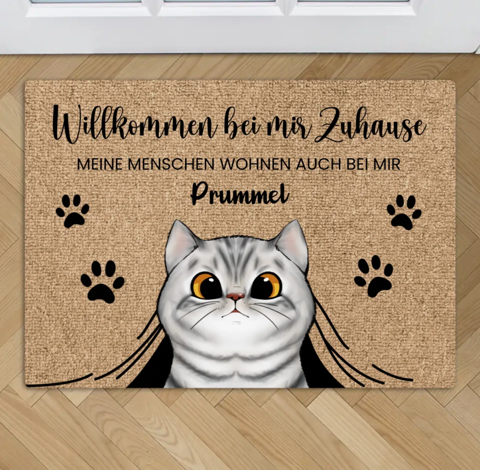 Vorschaubild 1