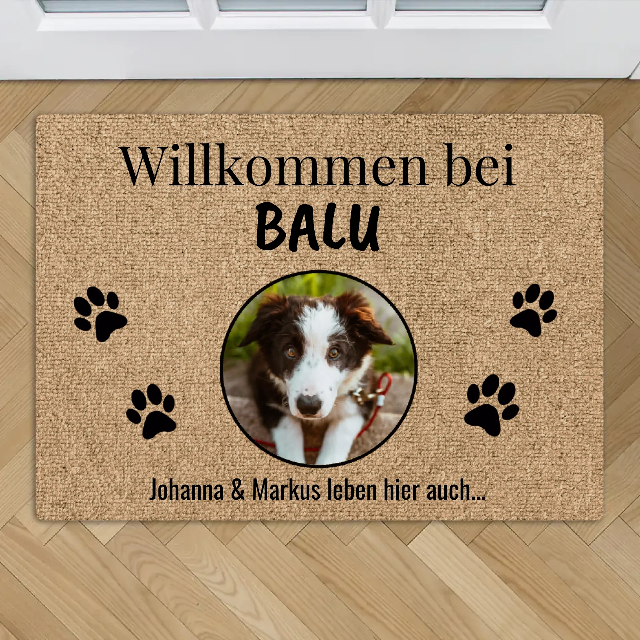Vorschaubild 1