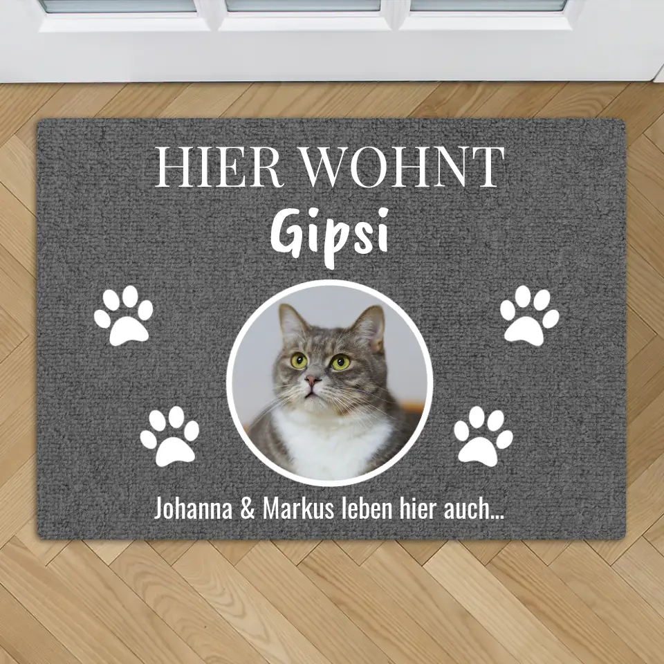 Vorschaubild 1